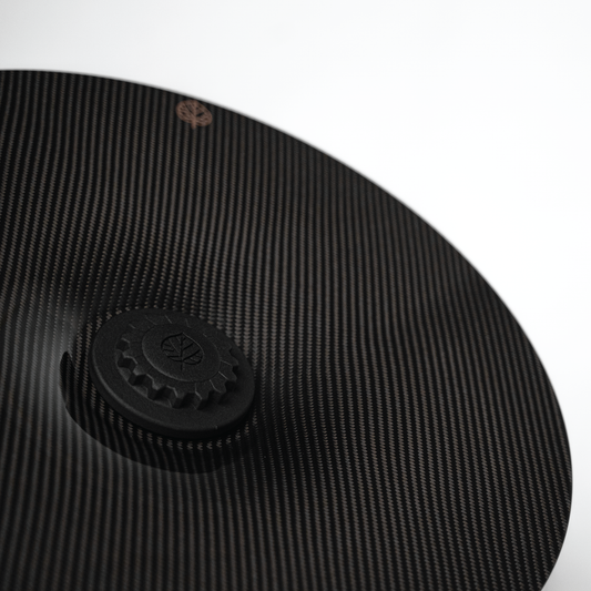 Gold Leaf │ CARBON FIBER AERO DISCS EVO for Center Lock wheels by TAILOR made