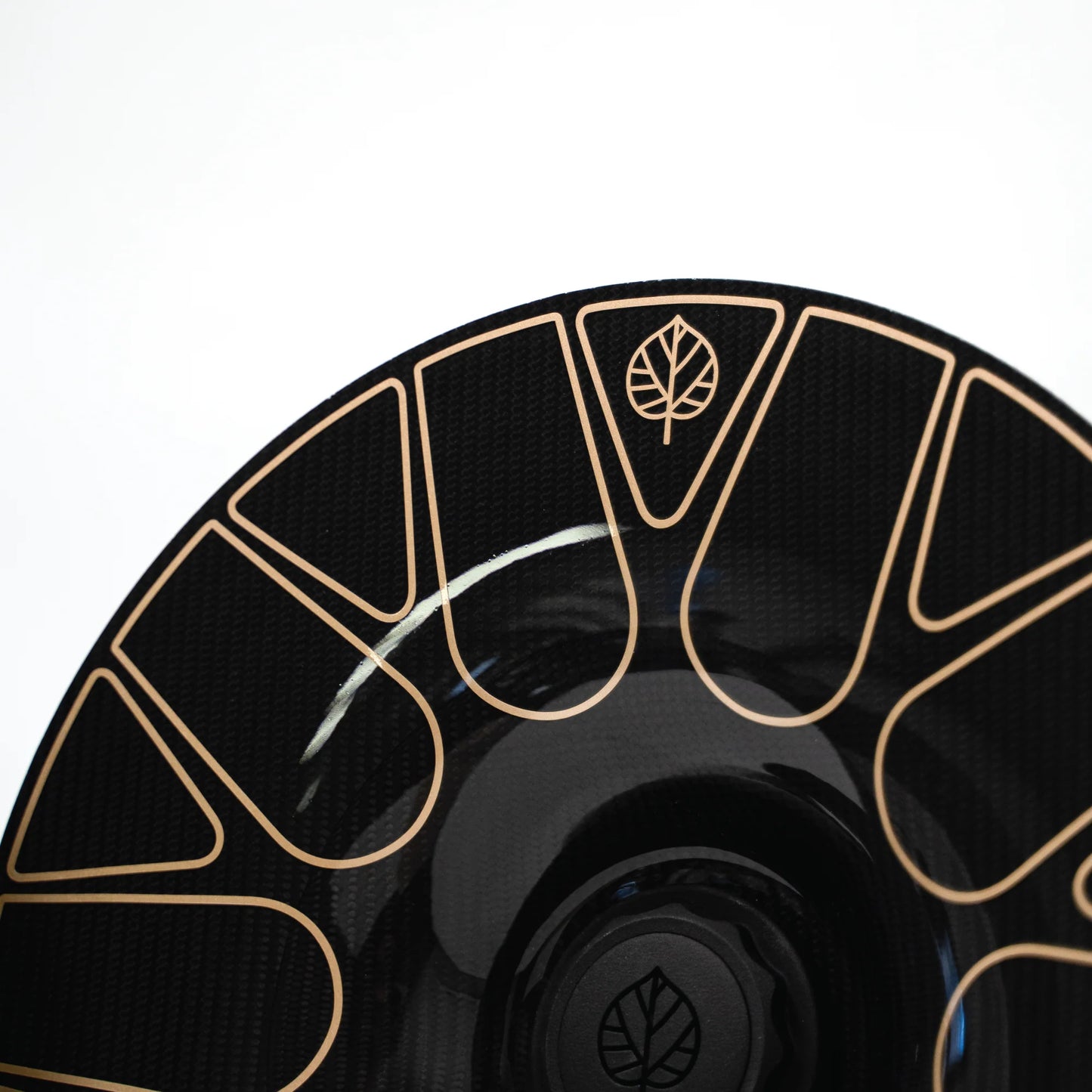 Gold Leaf │ CARBON FIBER AERO DISCS EVO for Center Lock wheels by TAILOR made
