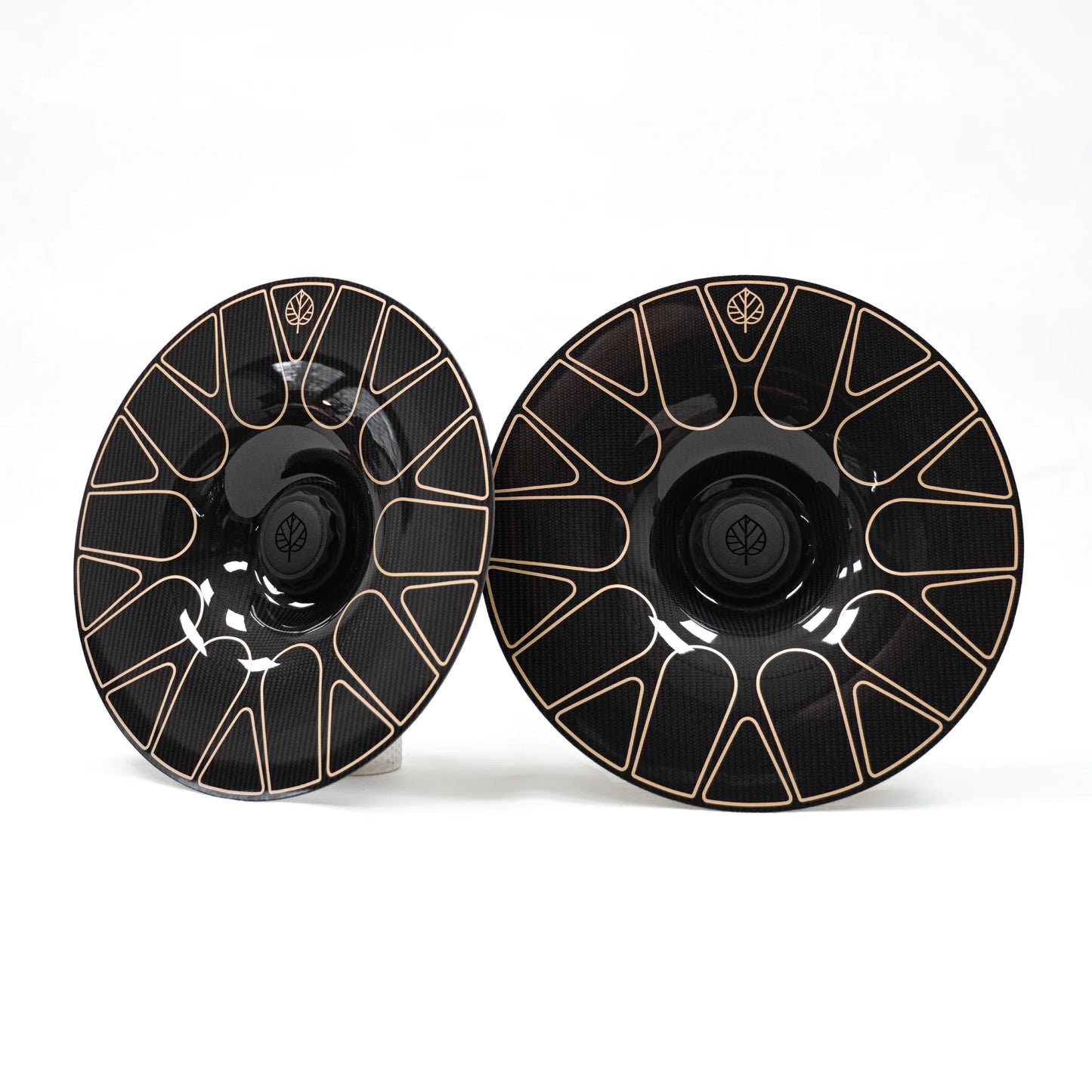 Gold Leaf │ CARBON FIBER AERO DISCS EVO for Center Lock wheels by TAILOR made